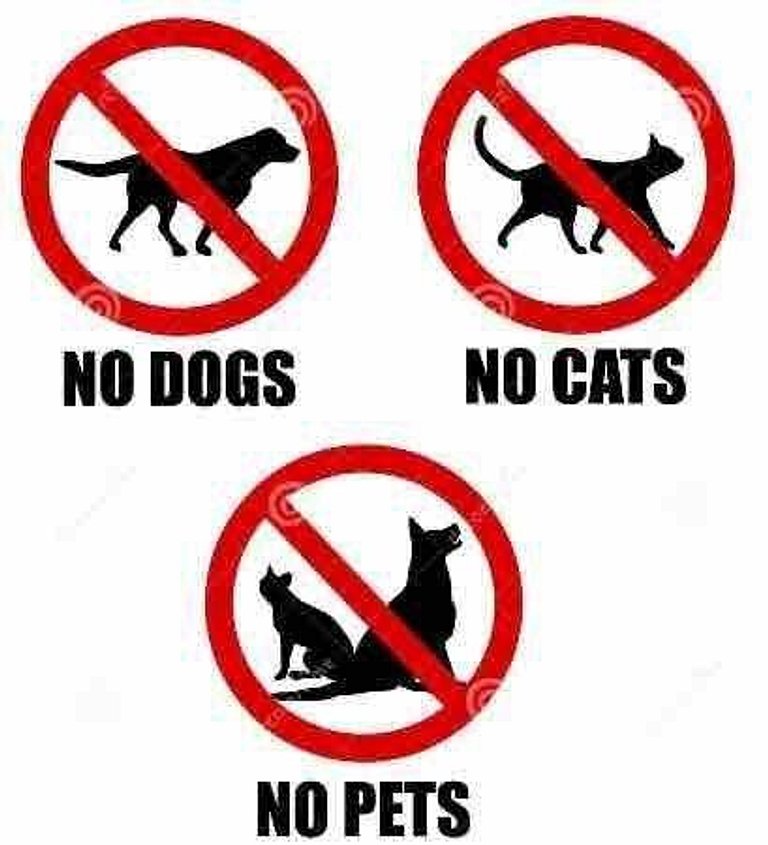 50m Praia-Tupi - WI-FI -SmartTV- Enxoval completo